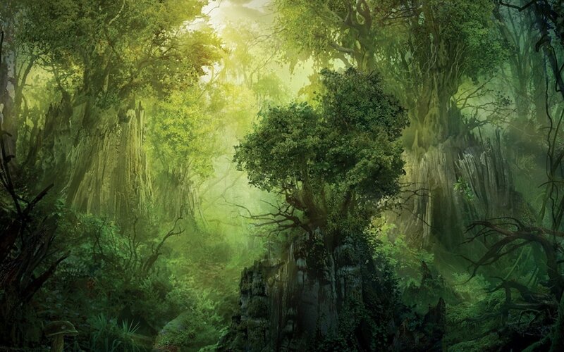 Ancient Forest with Sunlight — Green, Serene, Morning