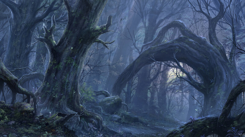 Ancient Forest with Twisted Trees