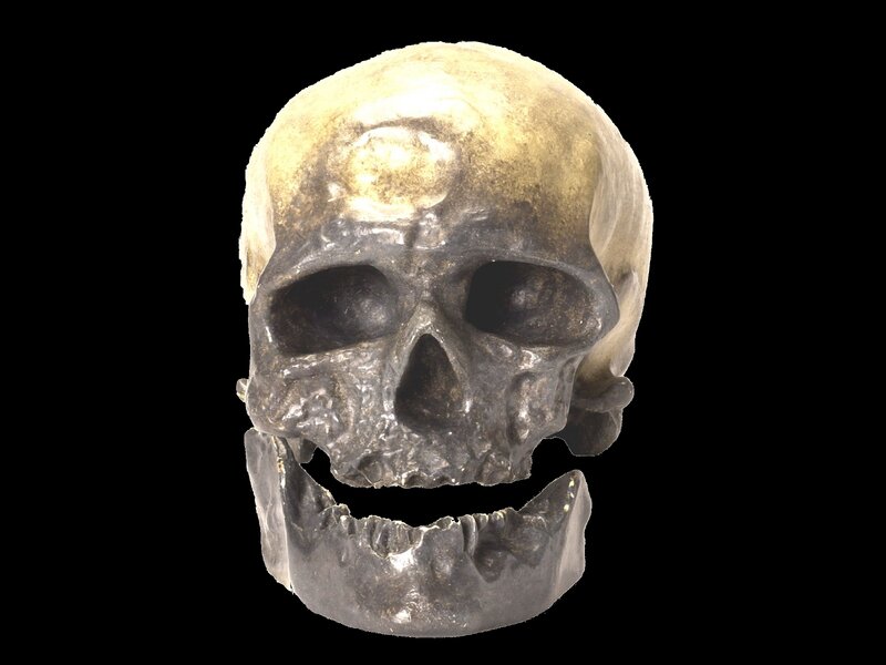 ancient human skull
