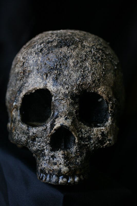 ancient human skull