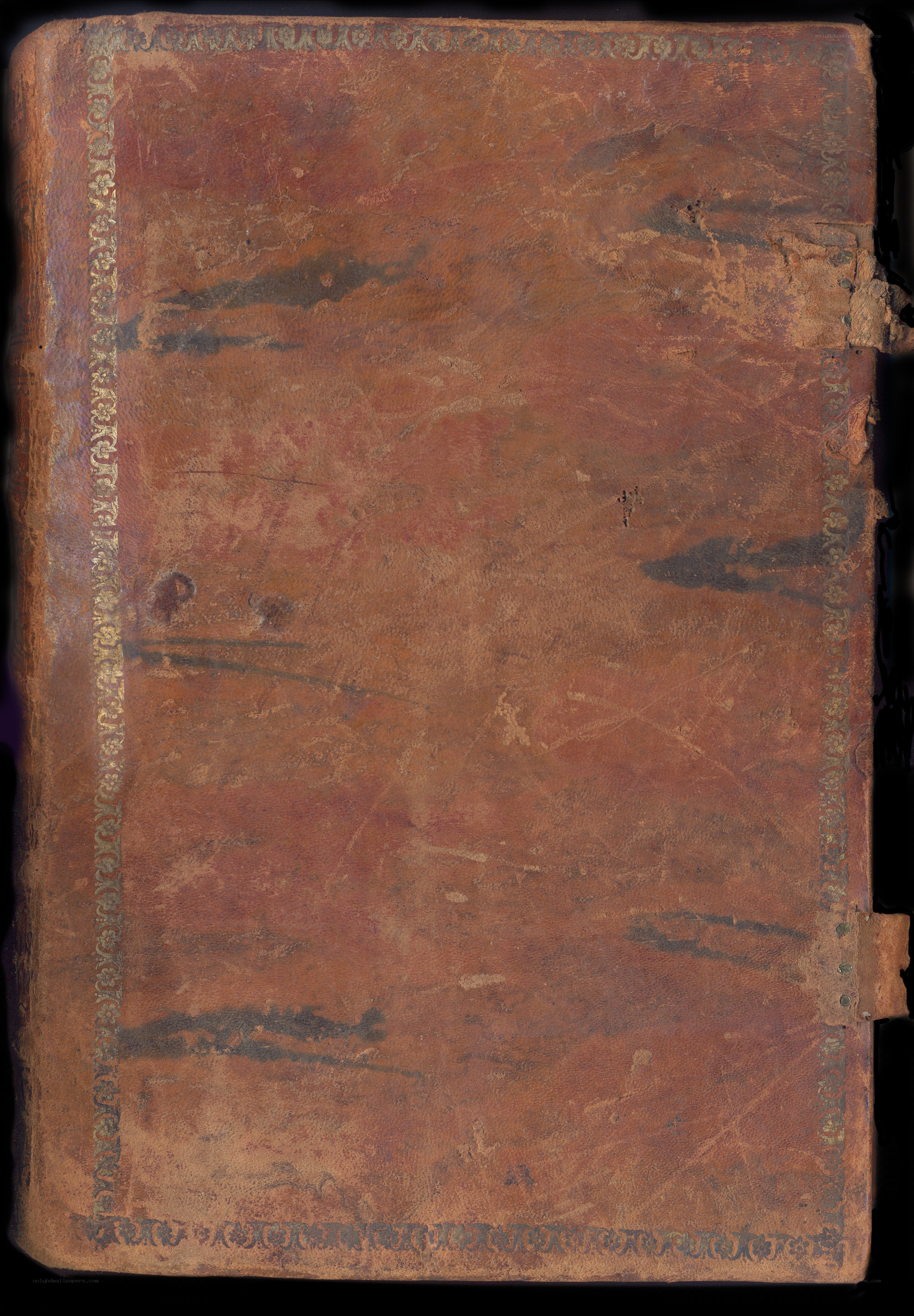 ancient leather-bound book cover