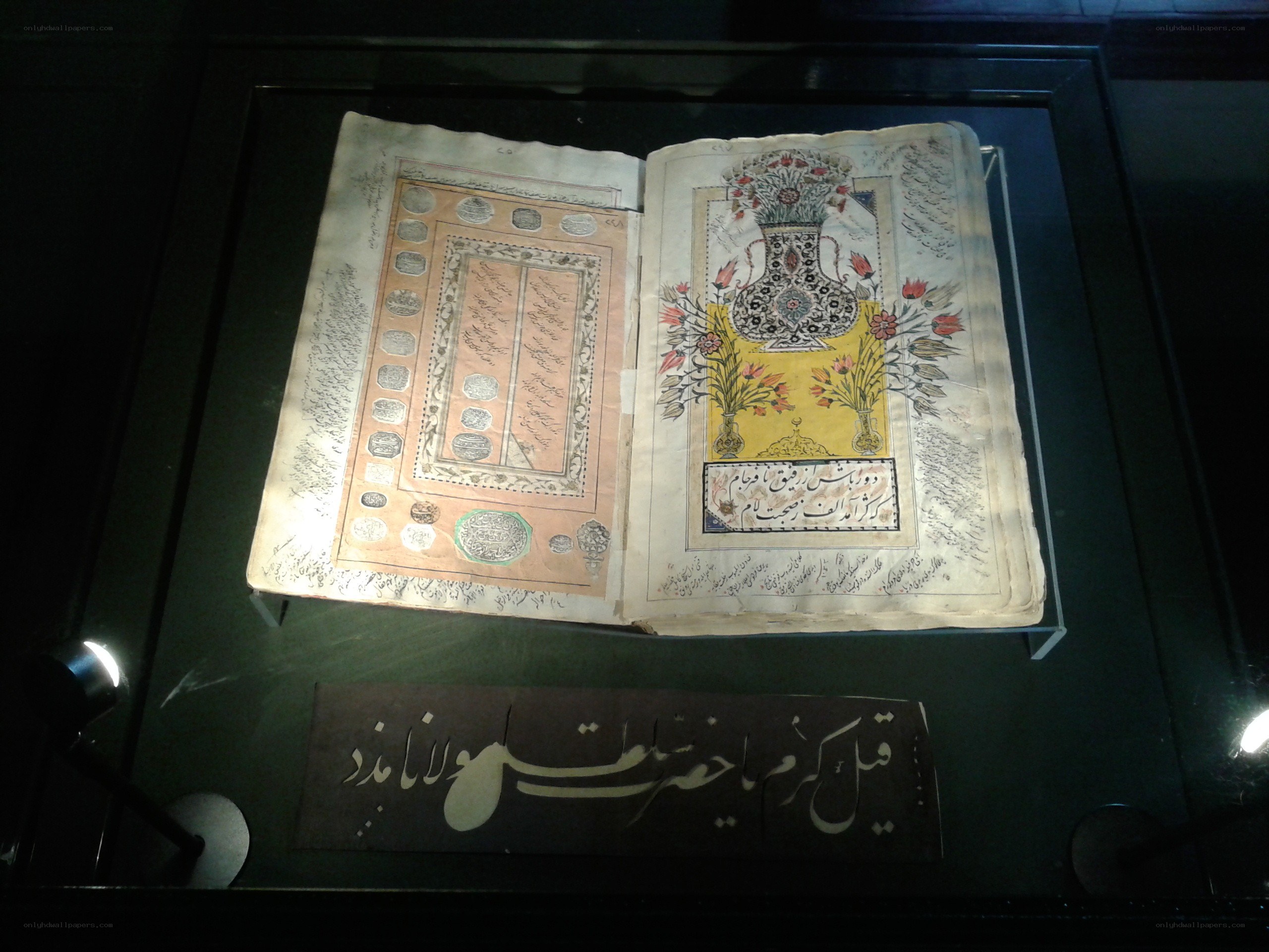 ancient manuscript in display case