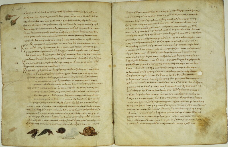 ancient manuscript pages