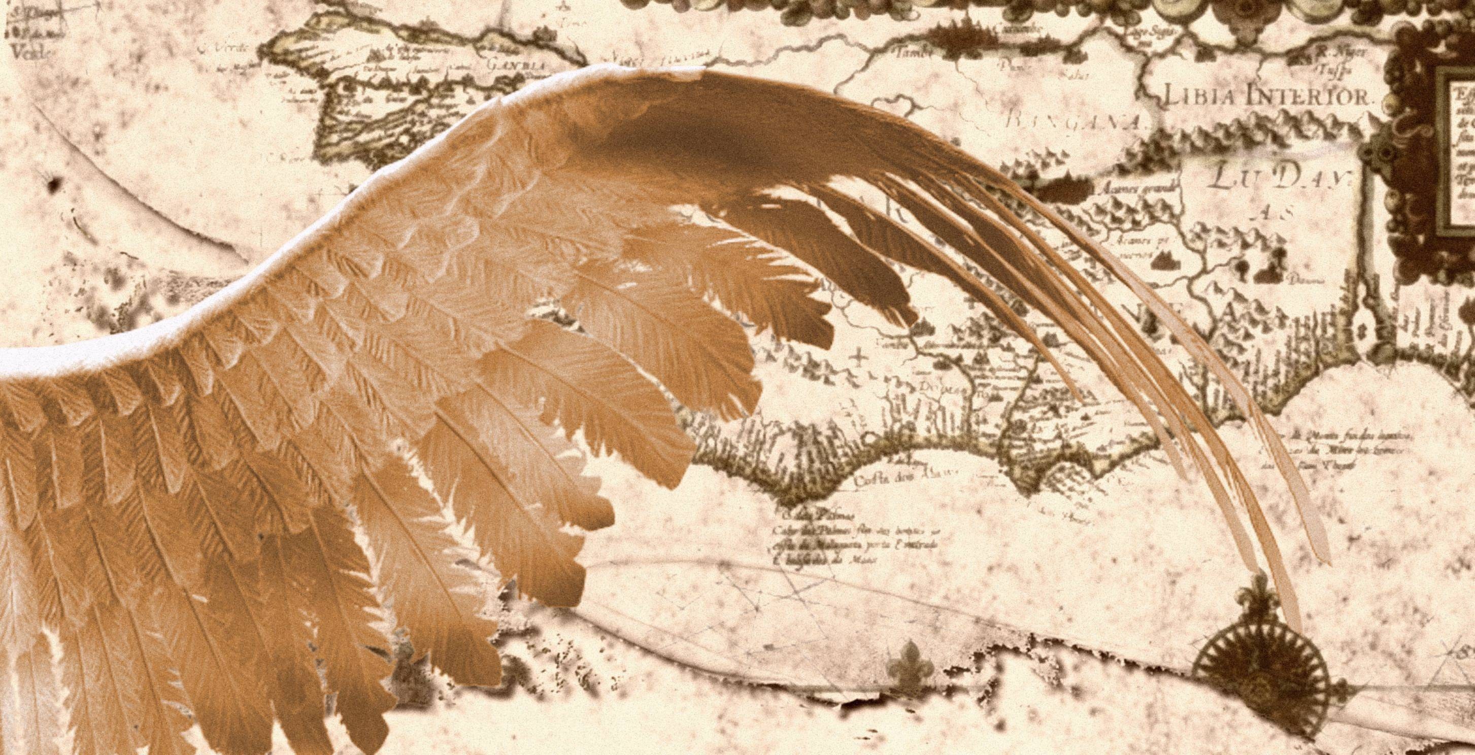ancient map with wing