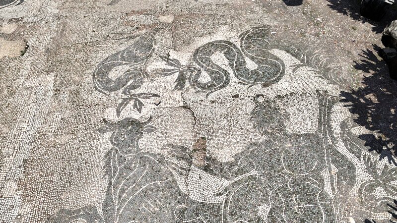 Ancient Mosaic Floor