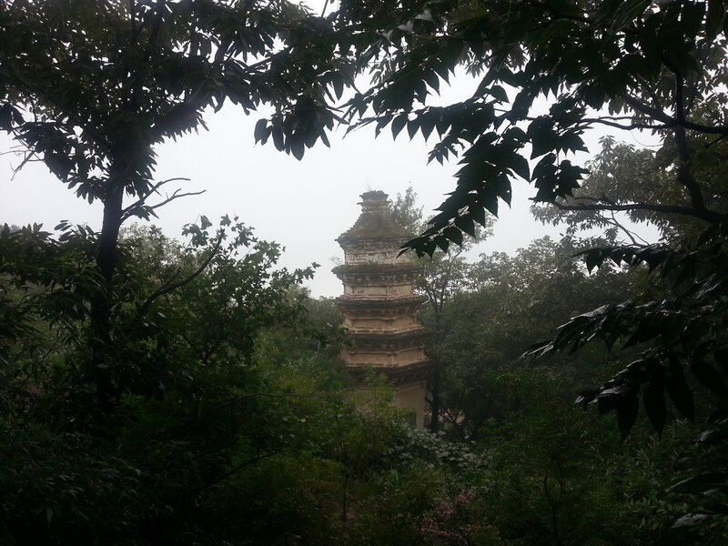 Ancient Pagoda in Forest