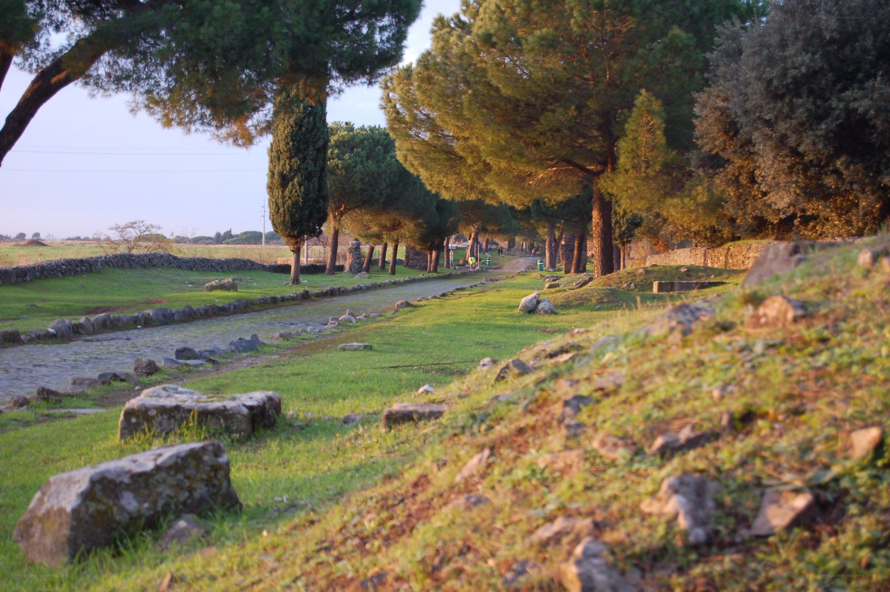 ancient road in roman ruins