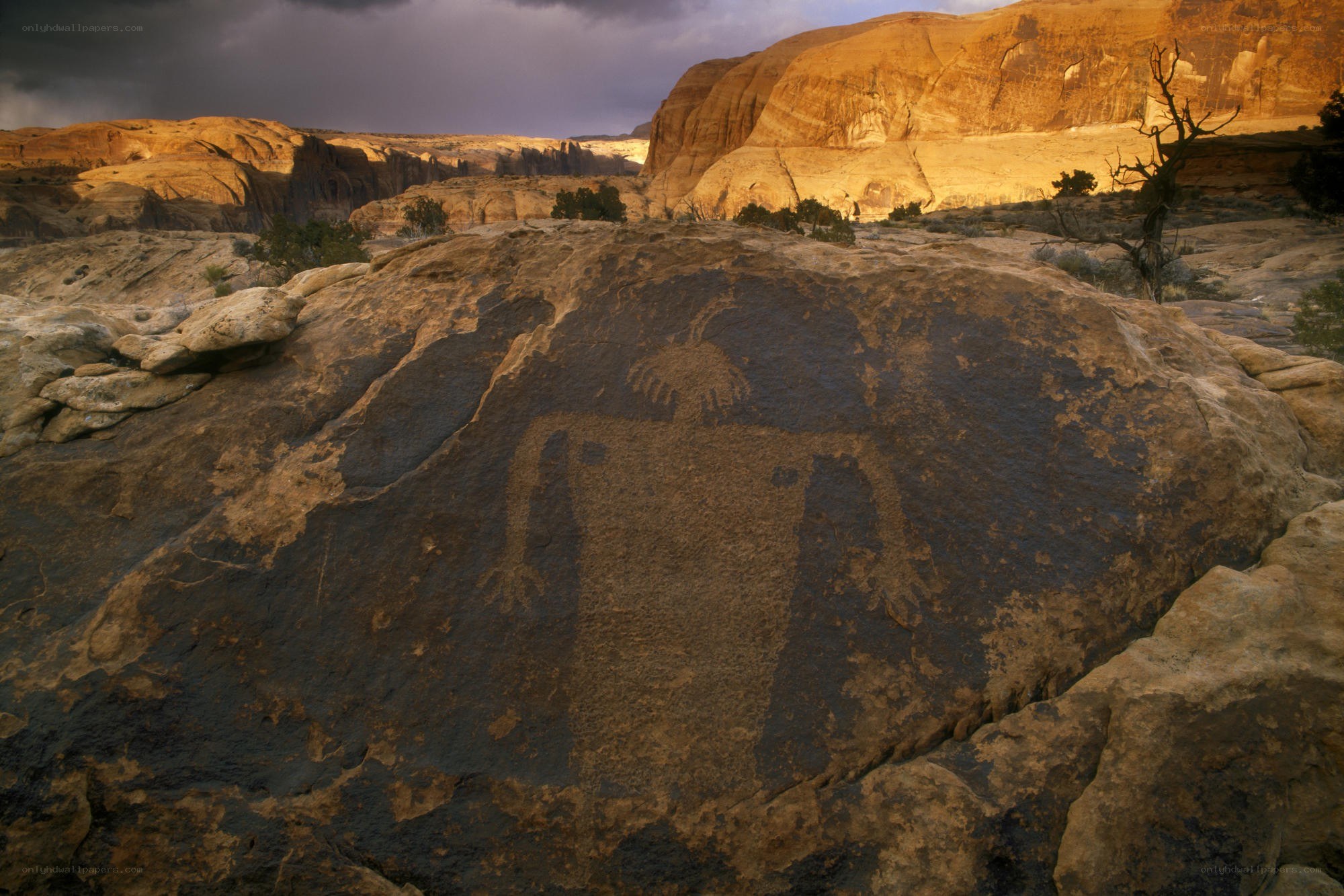 Ancient rock art in canyon