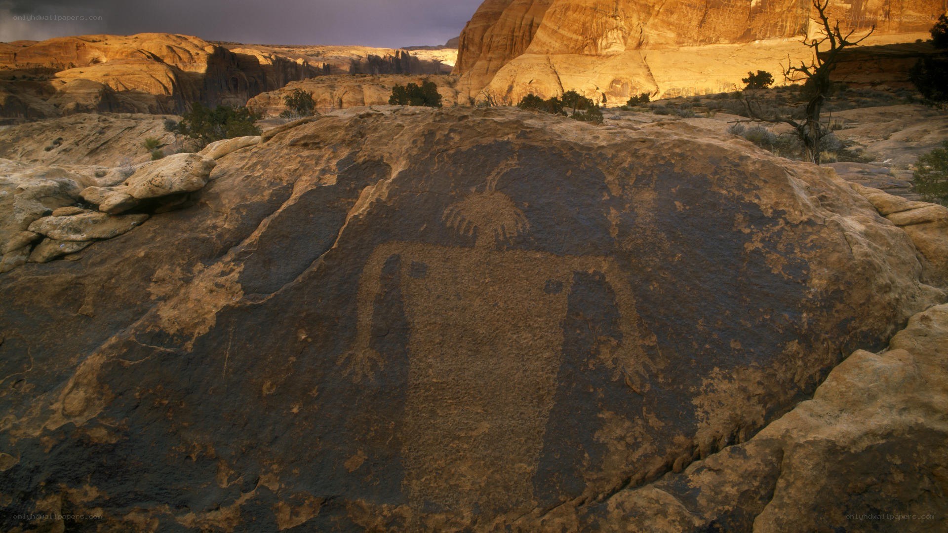 Ancient rock art petroglyph