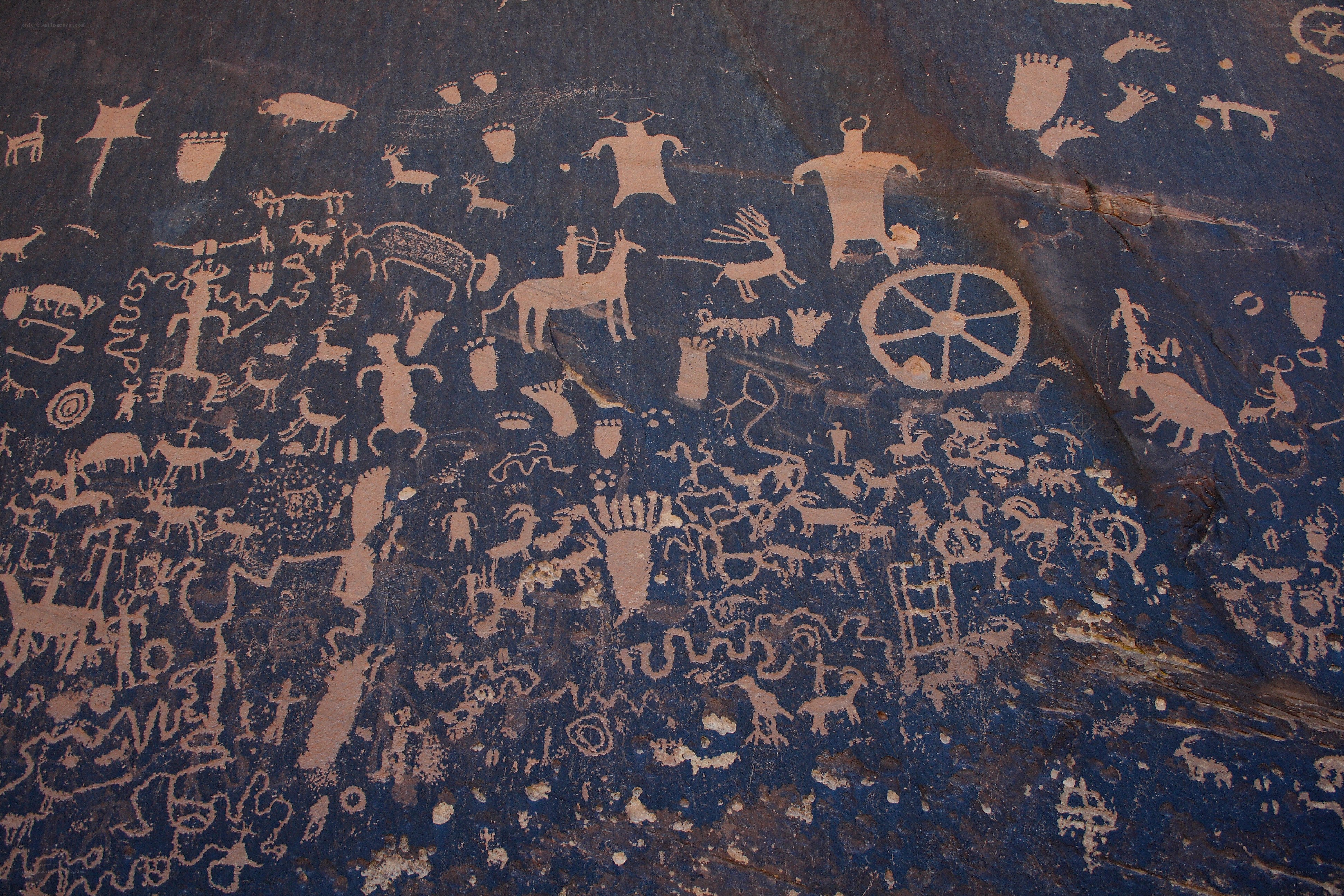 Ancient rock art petroglyphs
