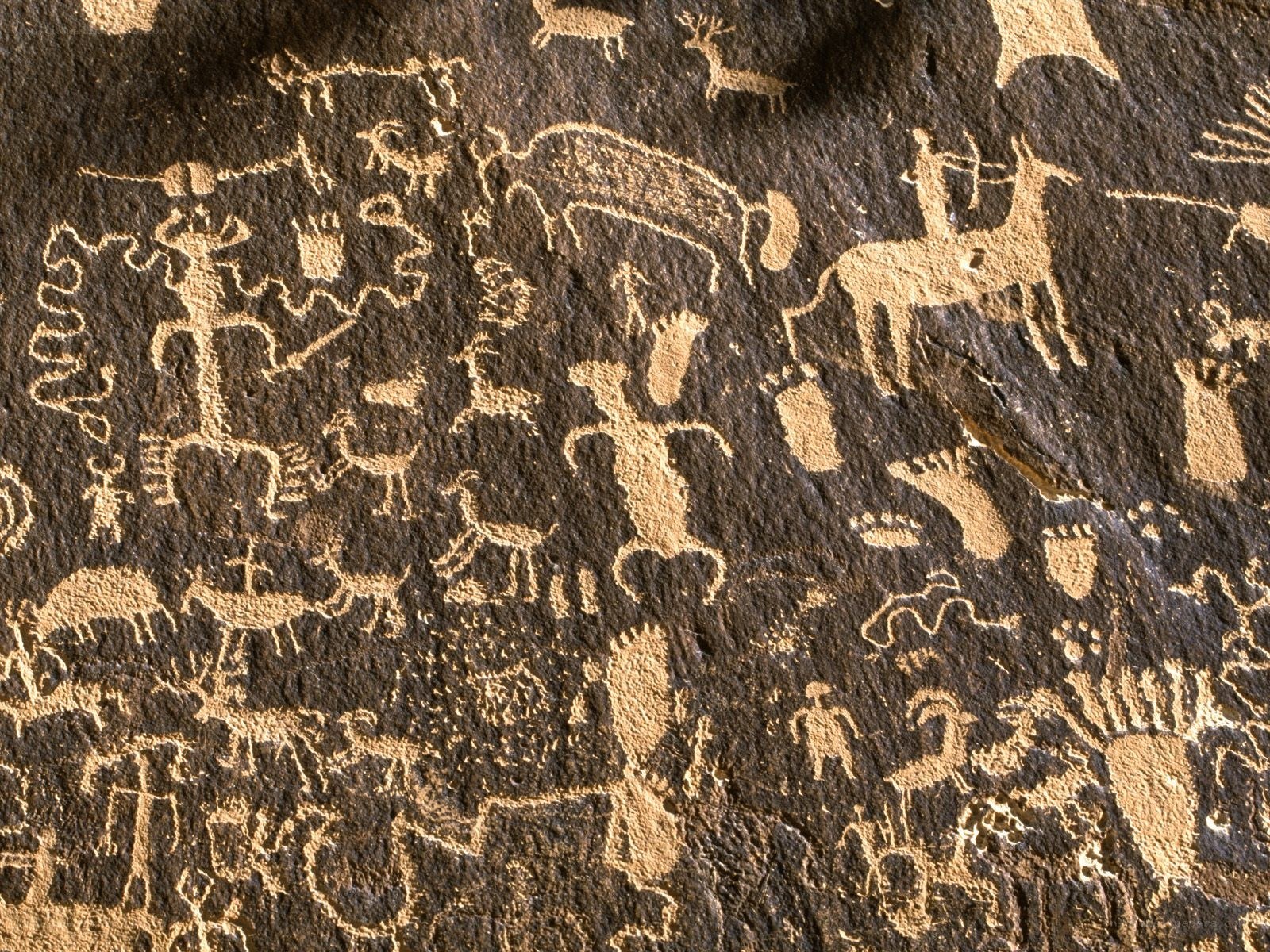 Ancient rock art petroglyphs