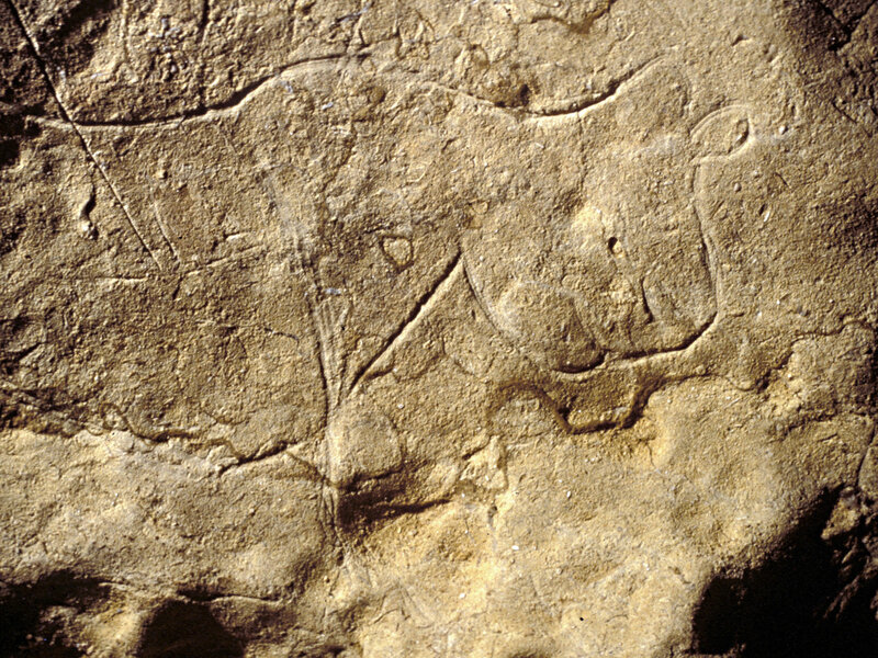 ancient rock carving of animal