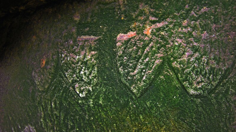 ancient rock carvings covered in moss