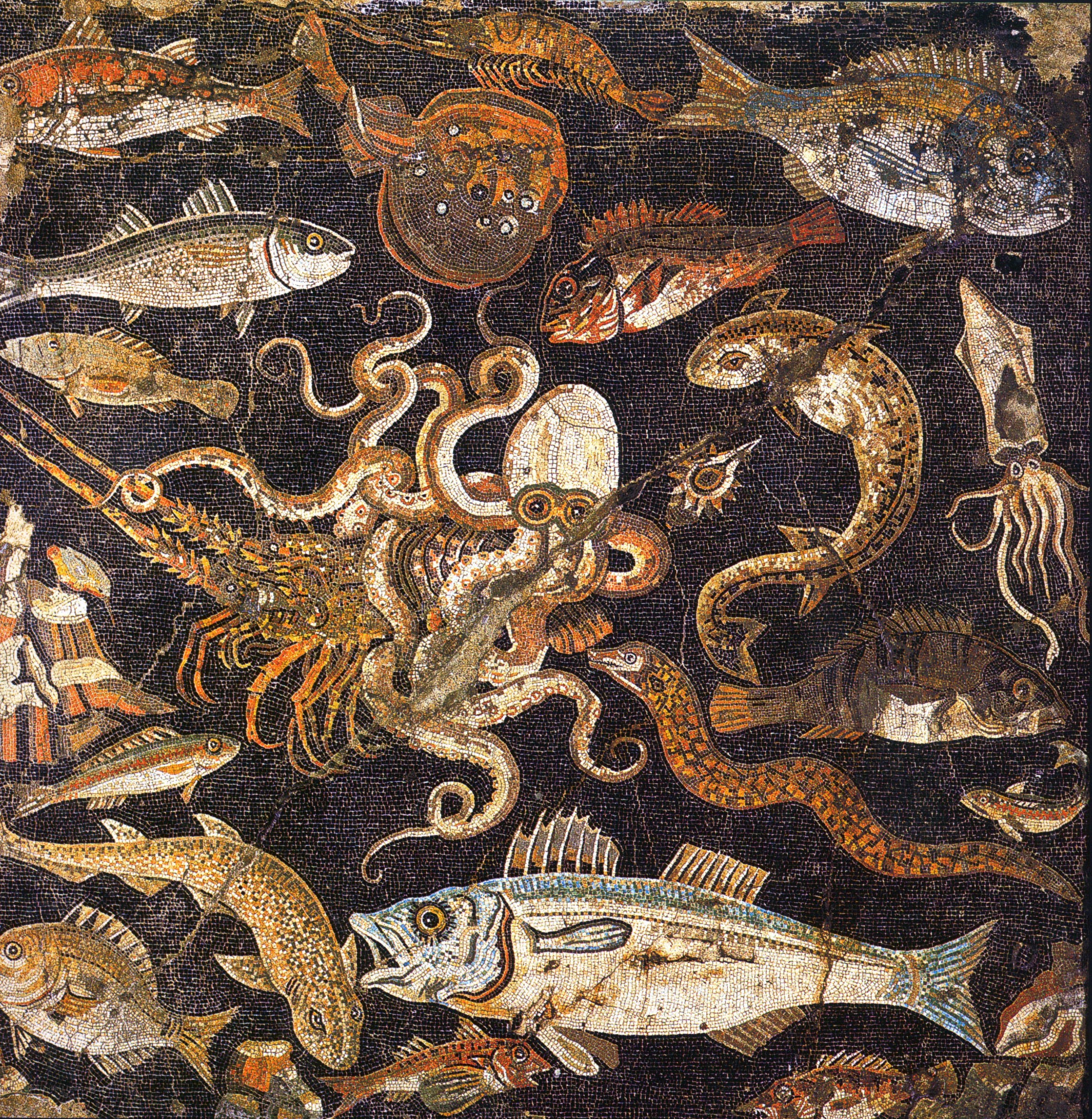 Ancient Roman fish mosaic
