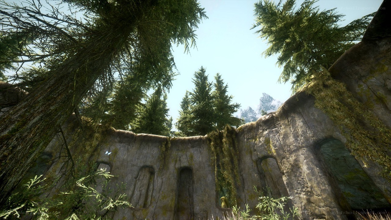 ancient ruin in forest