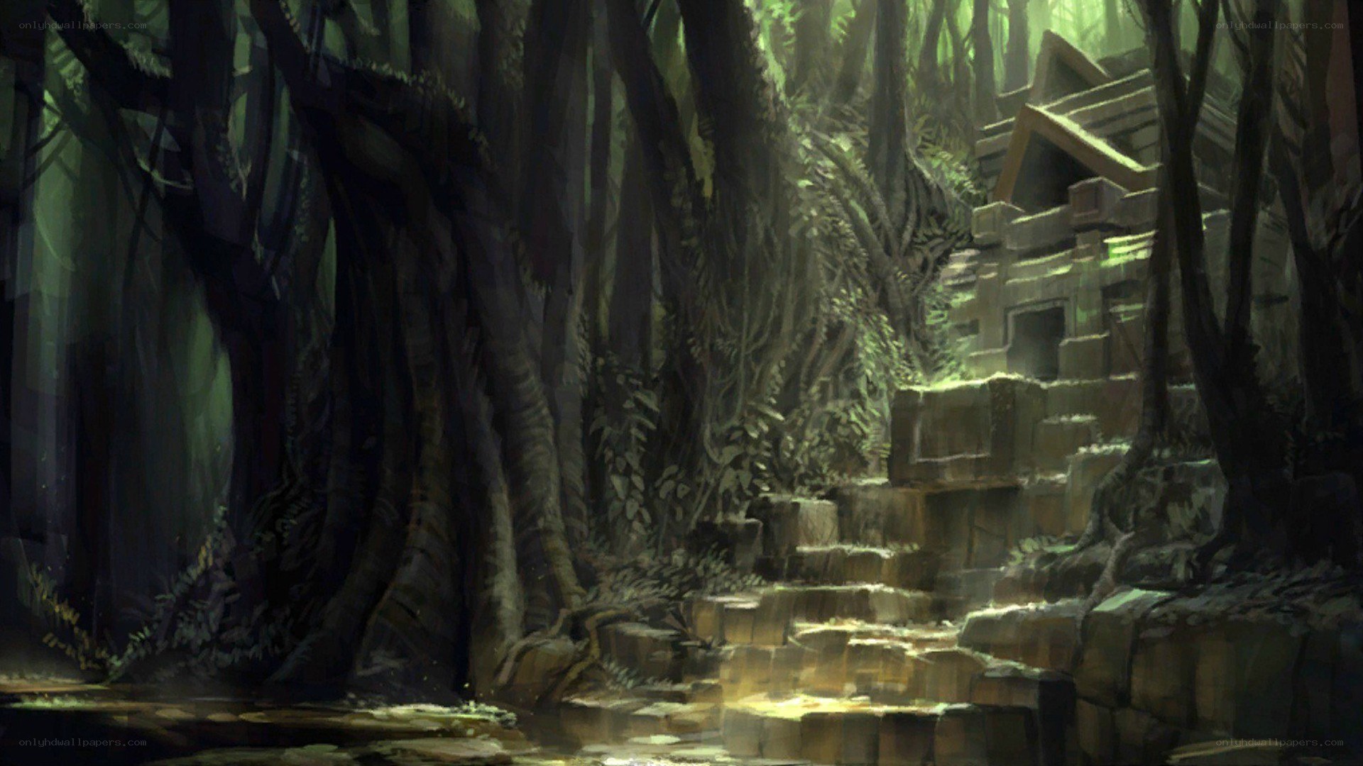 ancient ruins in a dense forest
