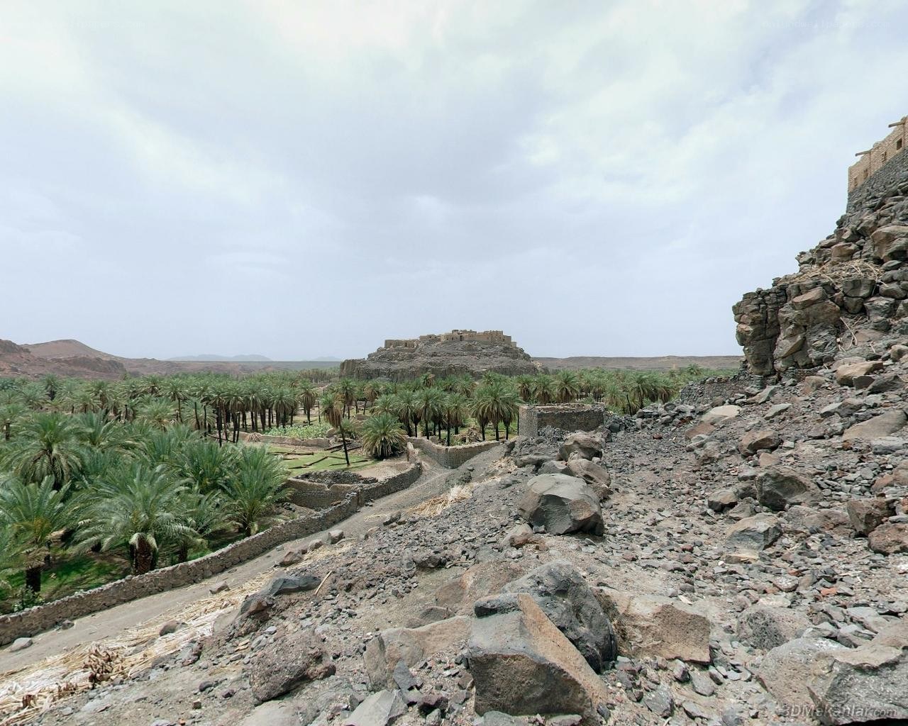 ancient ruins in a desert oasis