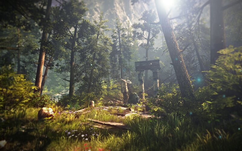 Ancient ruins in a sunlit forest