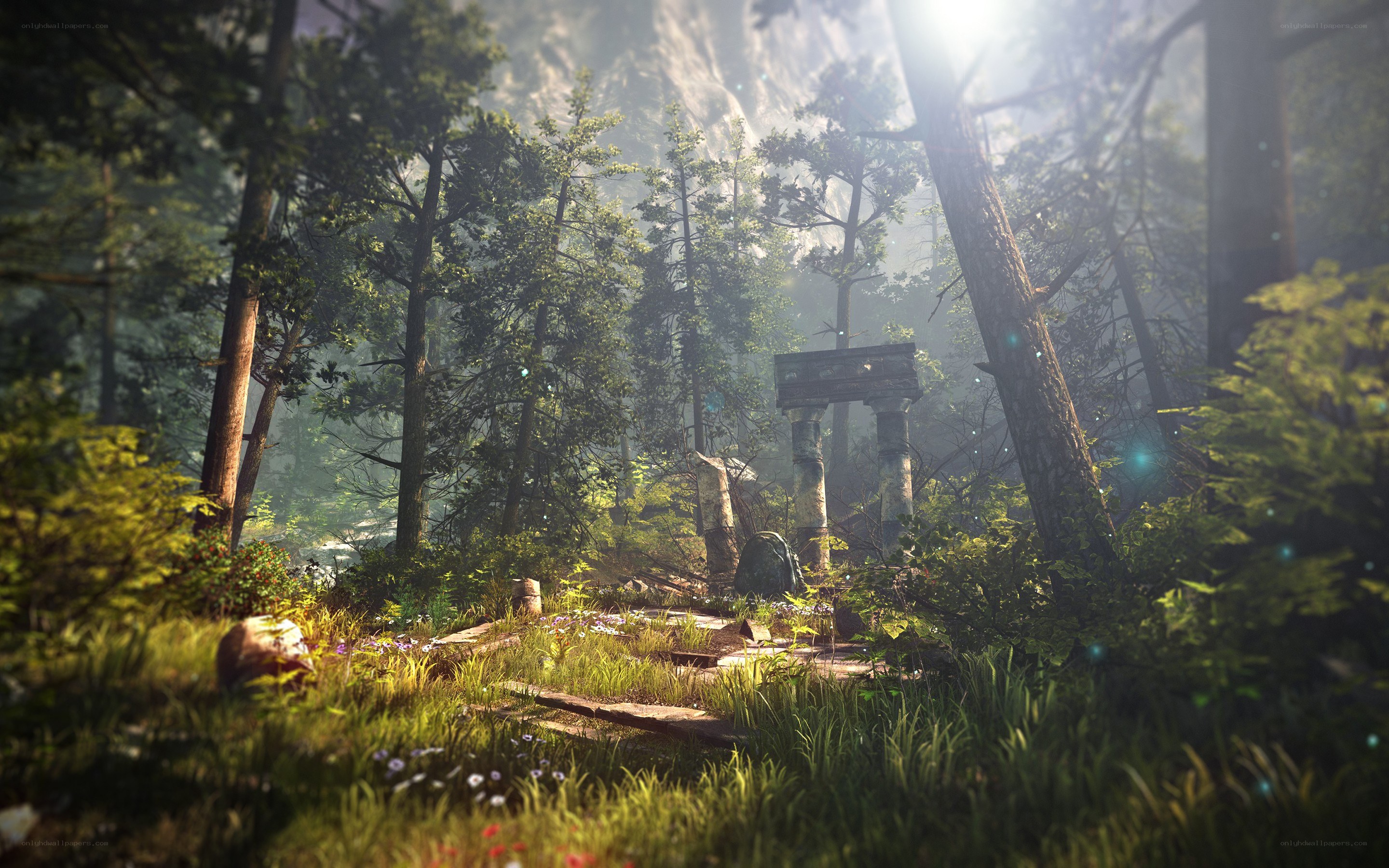 Ancient ruins in a sunlit forest