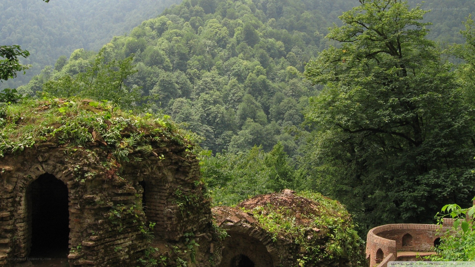Ancient ruins in forested mountains