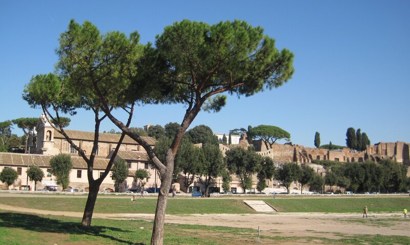 Ancient Ruins in Park