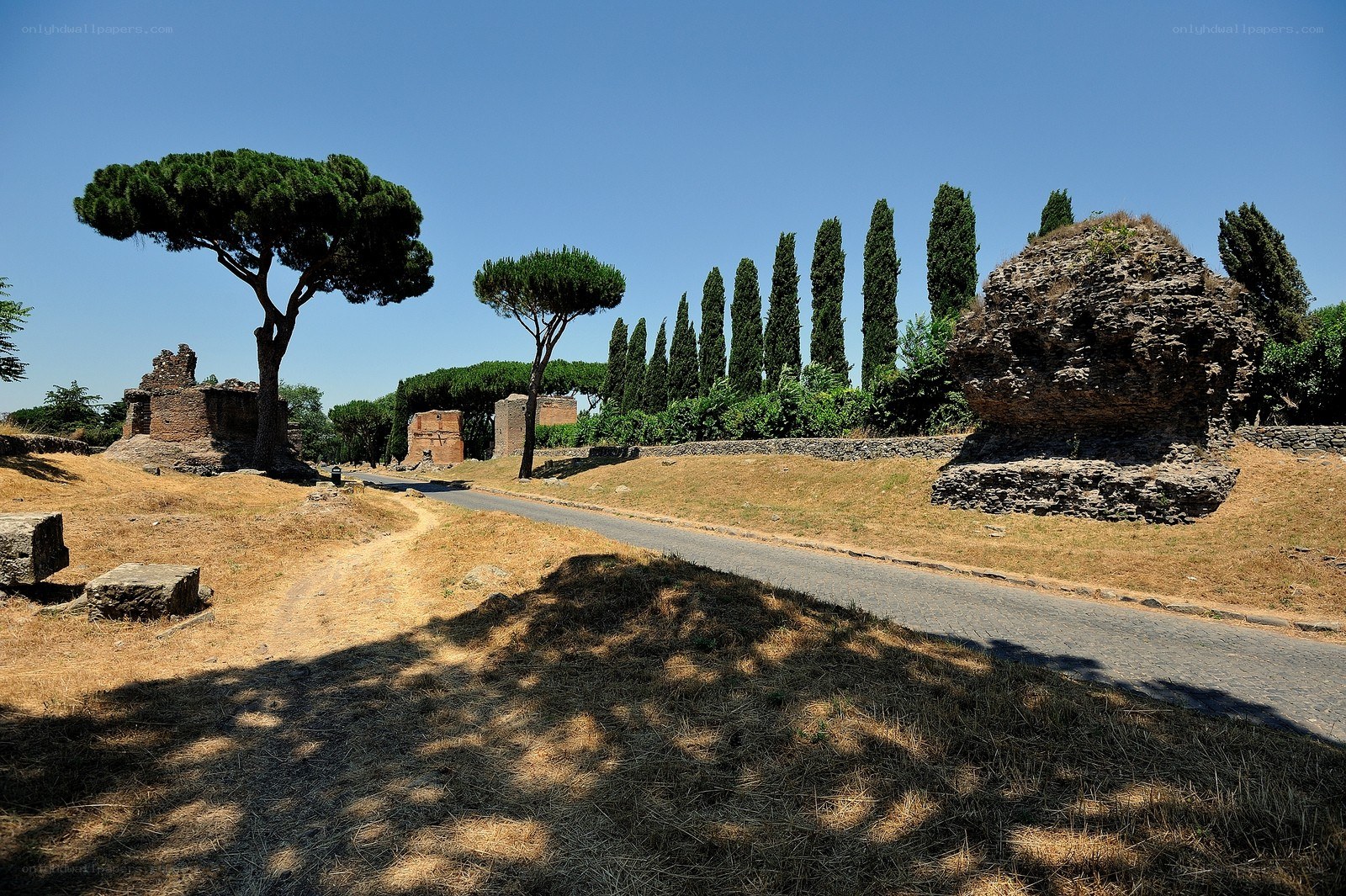 ancient ruins with cypress trees