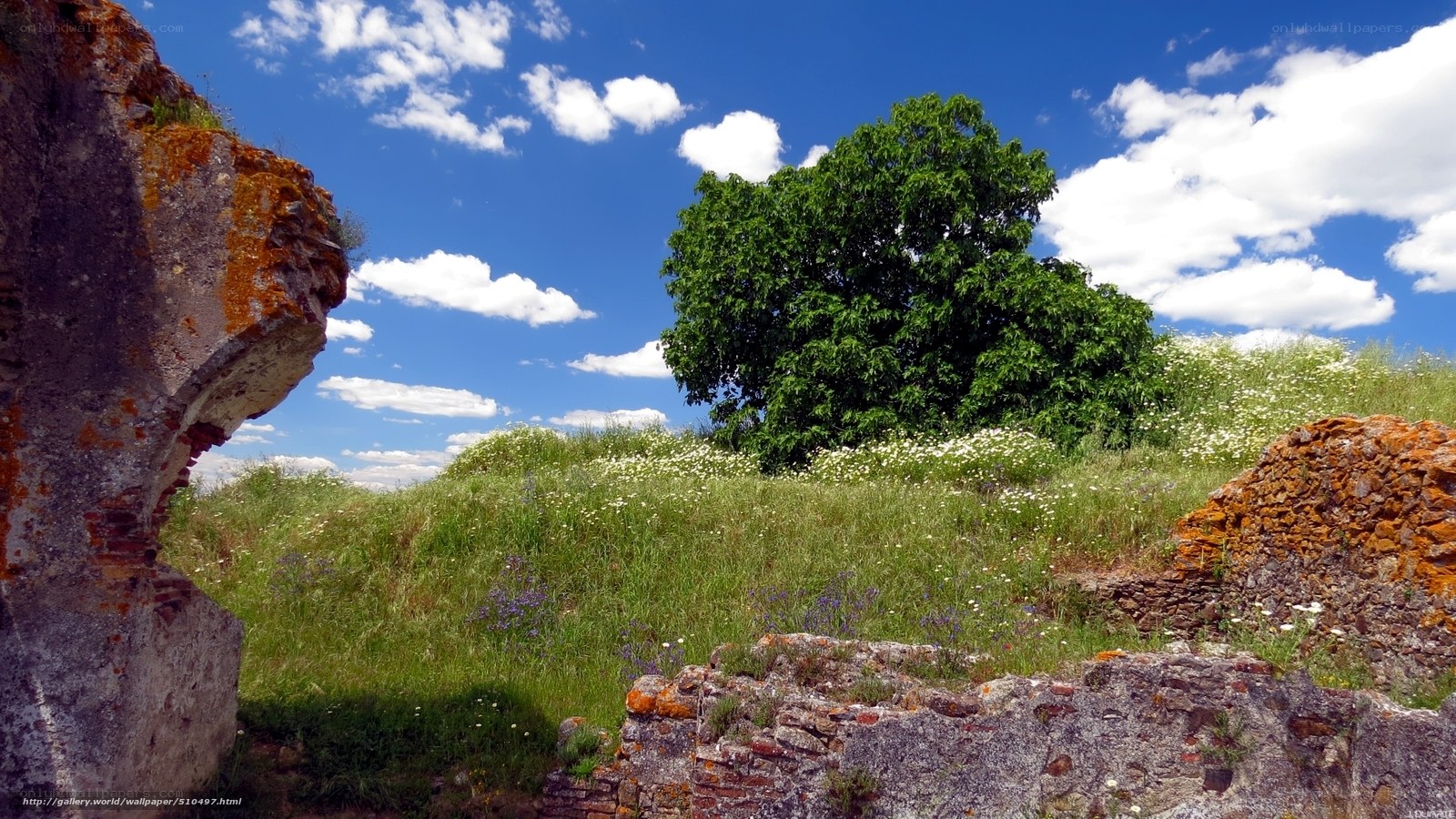 Ancient ruins with green tree