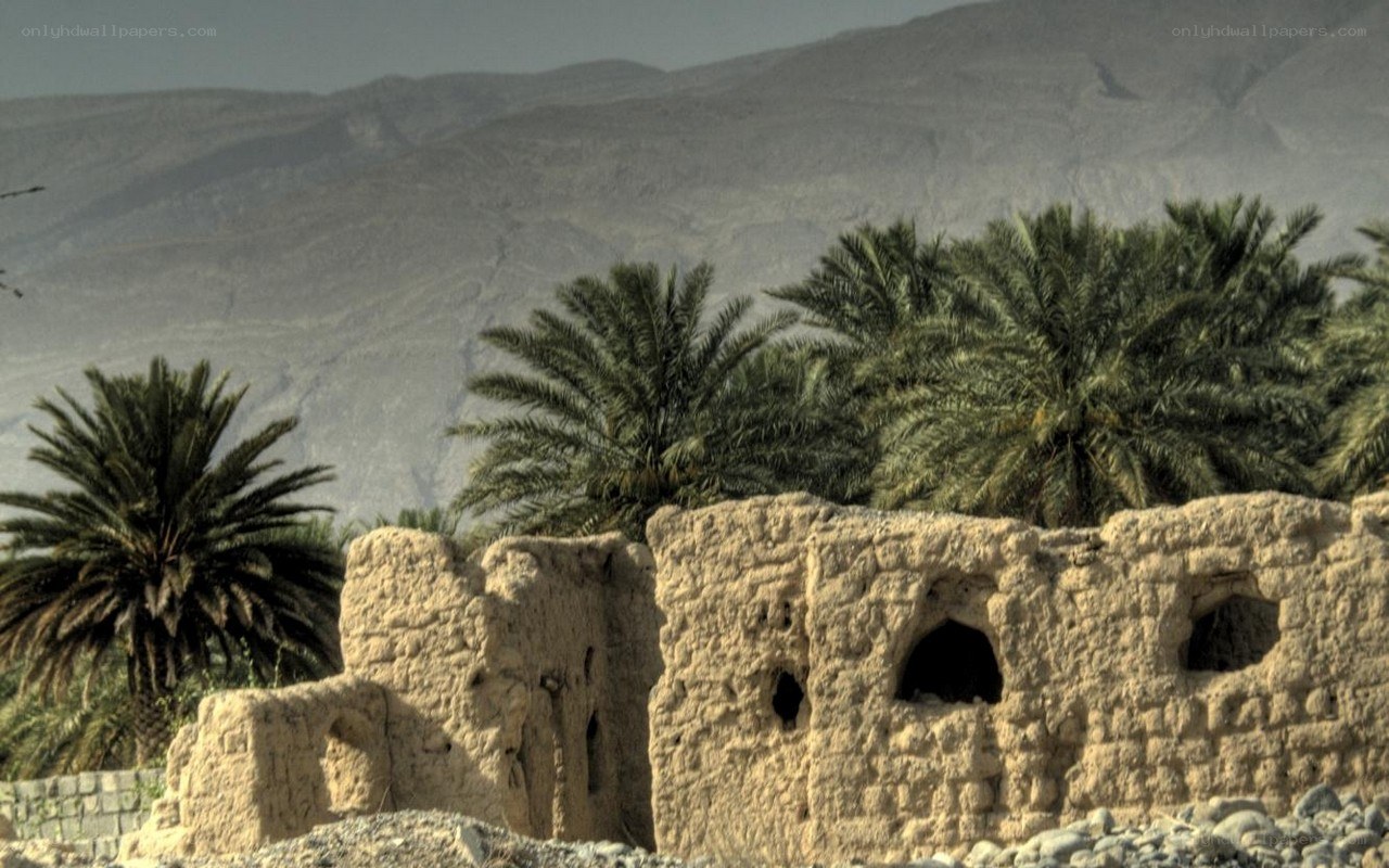 Ancient ruins with palm trees