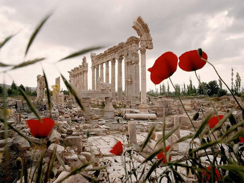 Ancient Ruins with Poppies — Red