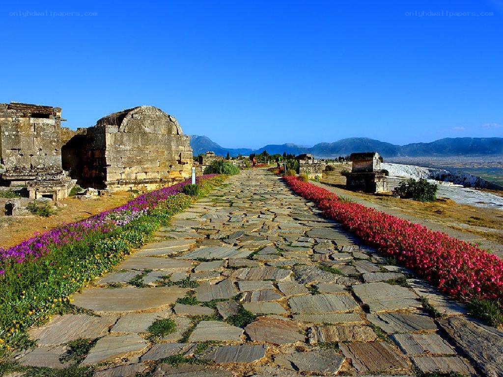 ancient ruins with stone path