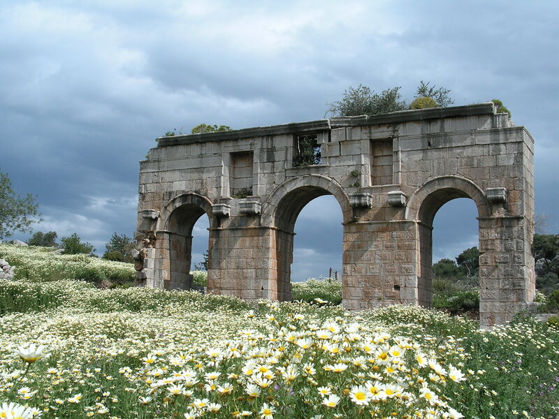 Ancient ruins with wildflowers