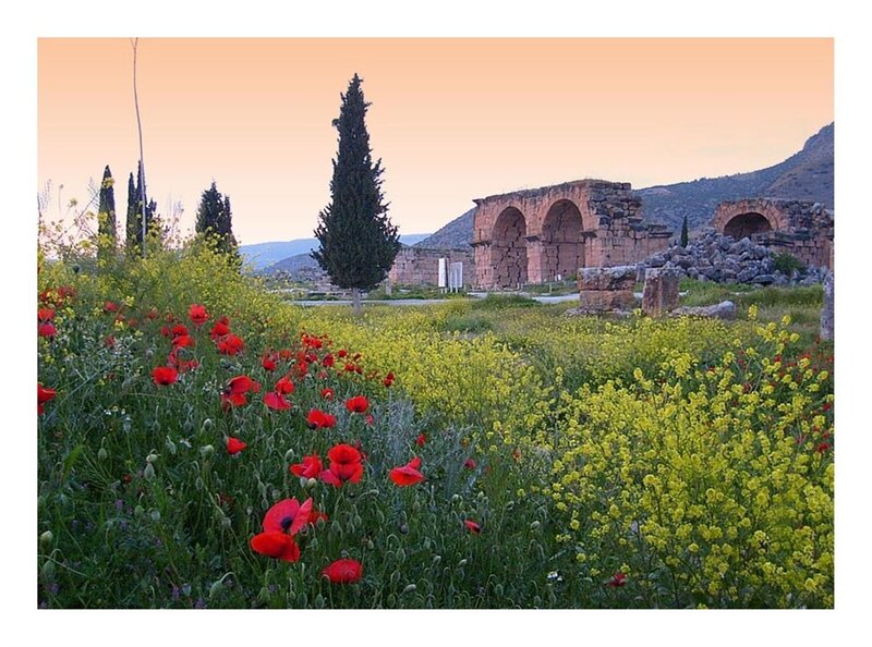 Ancient Ruins with Wildflowers — Red