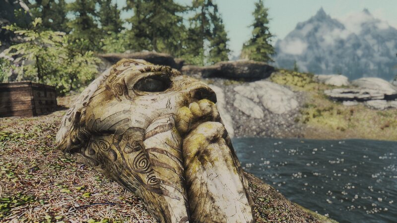 ancient skull by the river