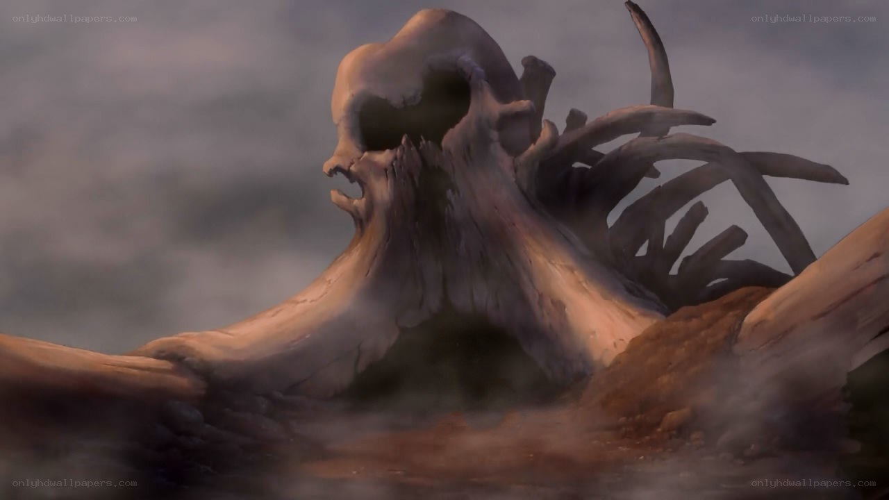 ancient skull on beach
