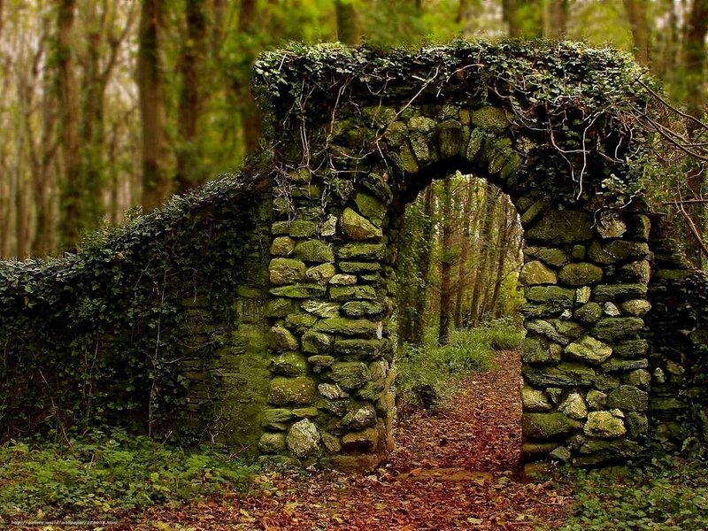 Ancient stone arch in forest