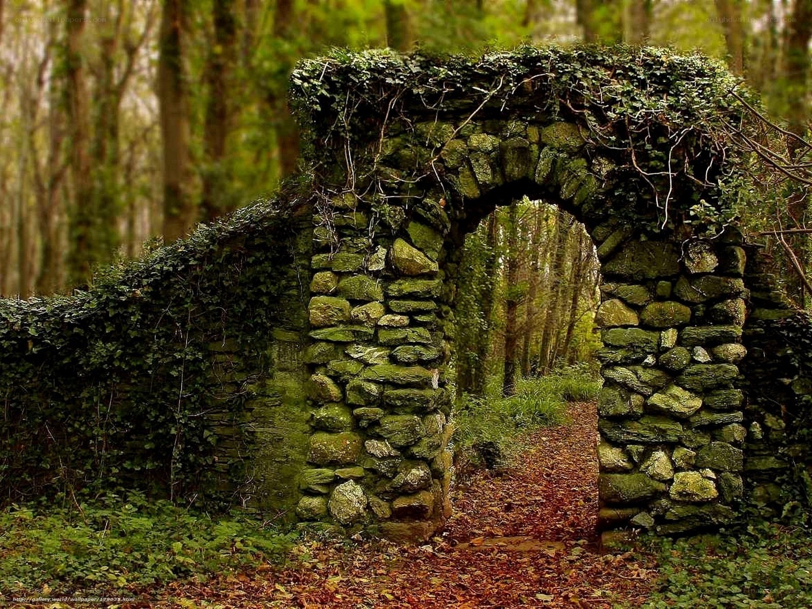 Ancient stone arch in forest