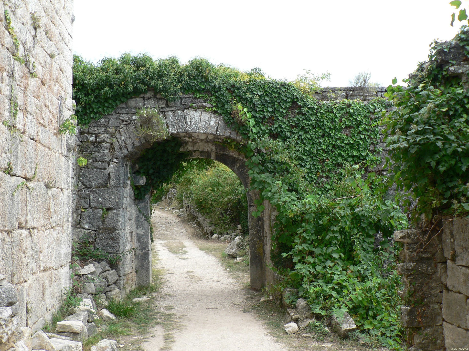 ancient stone archway with ivy