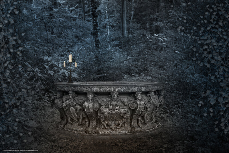 Ancient stone basin in forest