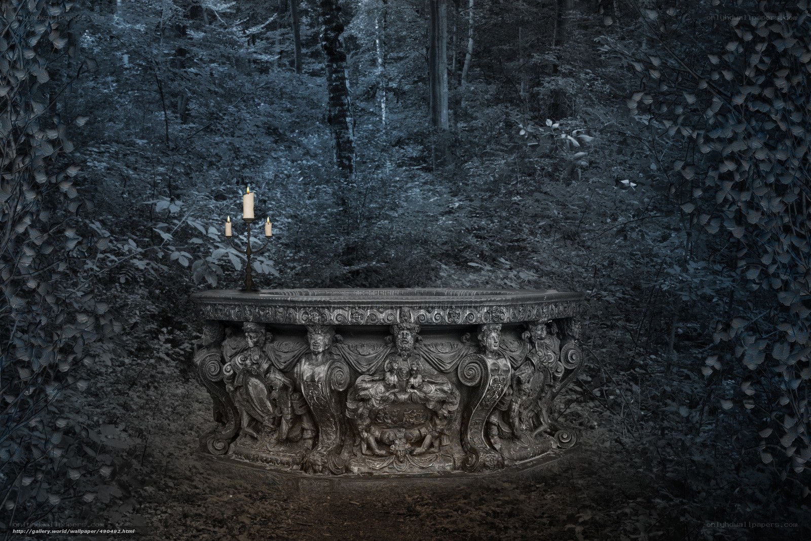 Ancient stone basin in forest