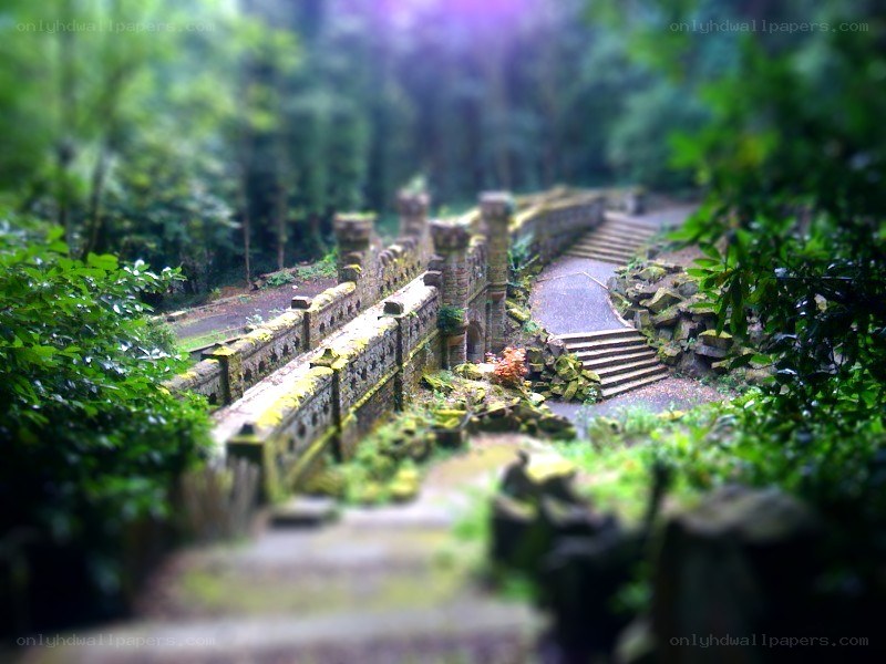 ancient stone bridge in forest