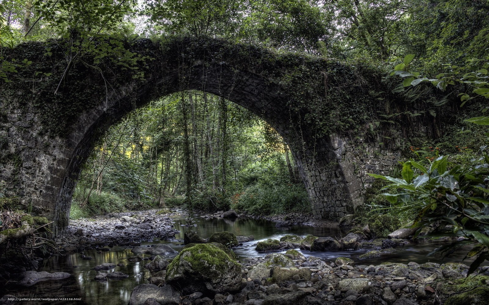 Ancient stone bridge in forest
