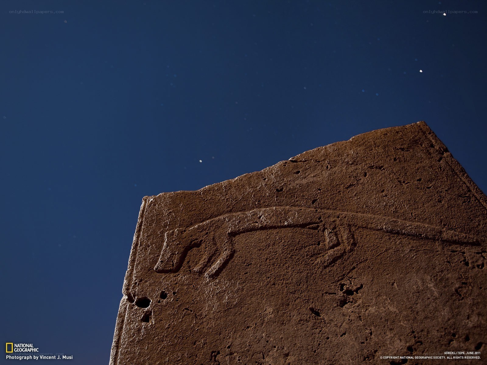 Ancient stone carving under night sky