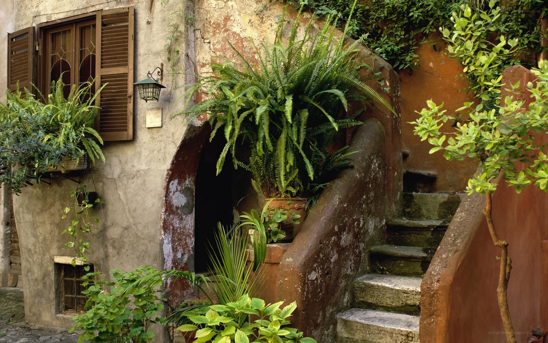 ancient stone courtyard with plants