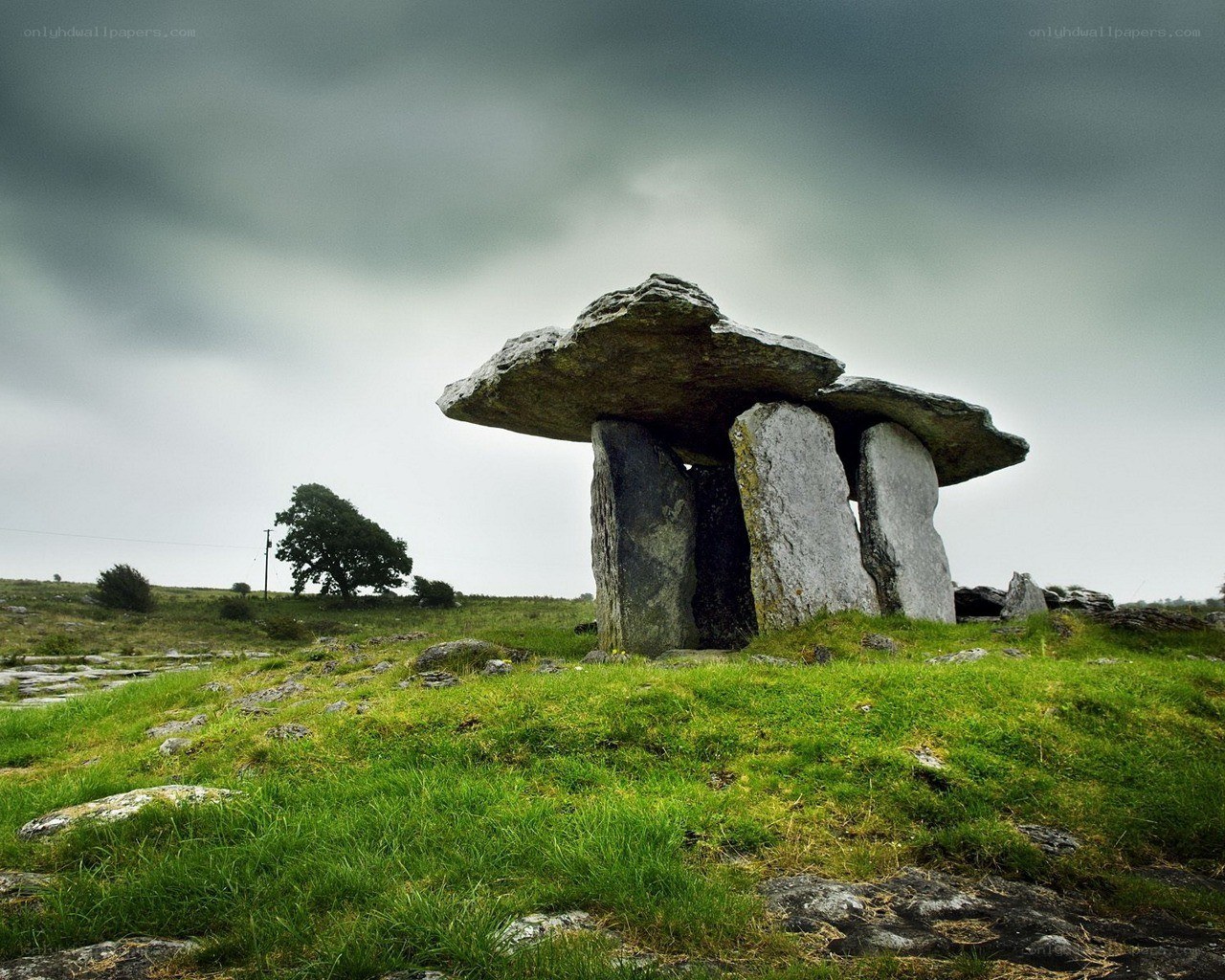Ancient stone dolmen in a field