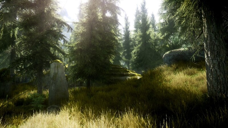 Ancient Stone in Forest