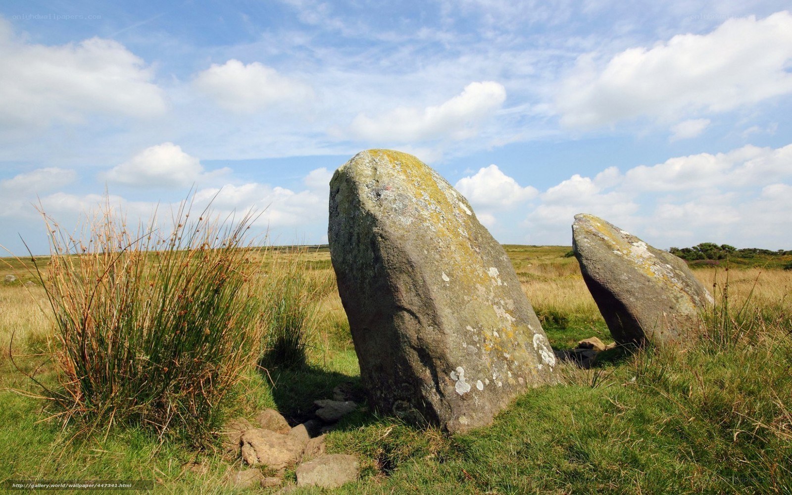Ancient stone monument in field