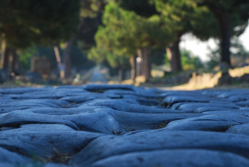 ancient stone path in forest