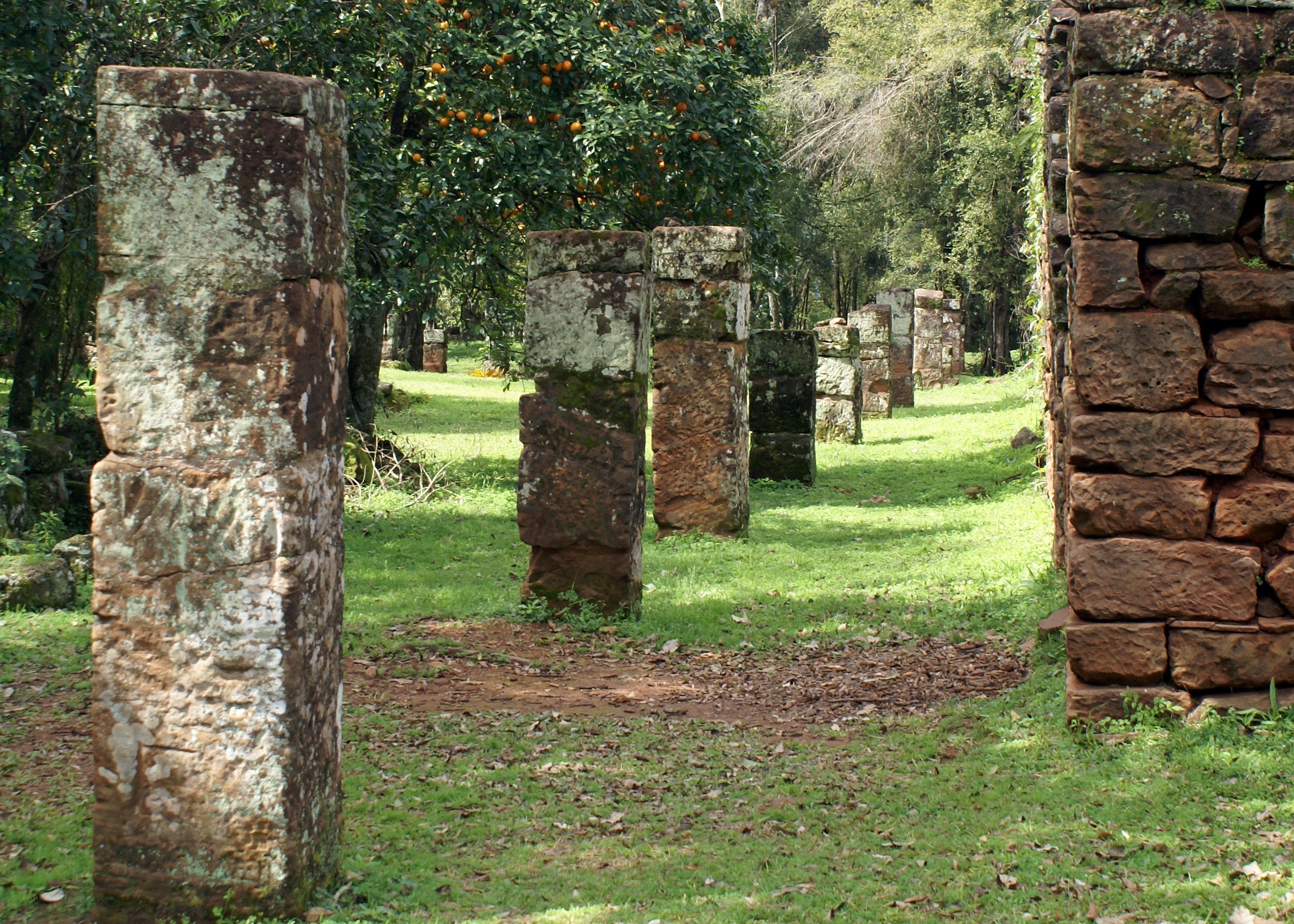 ancient stone pillars in a grove