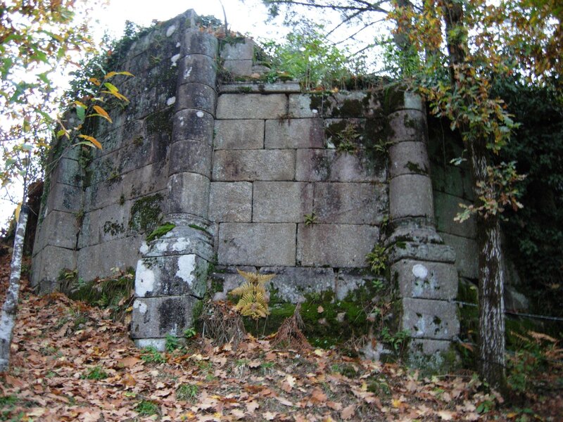 ancient stone ruin in forest