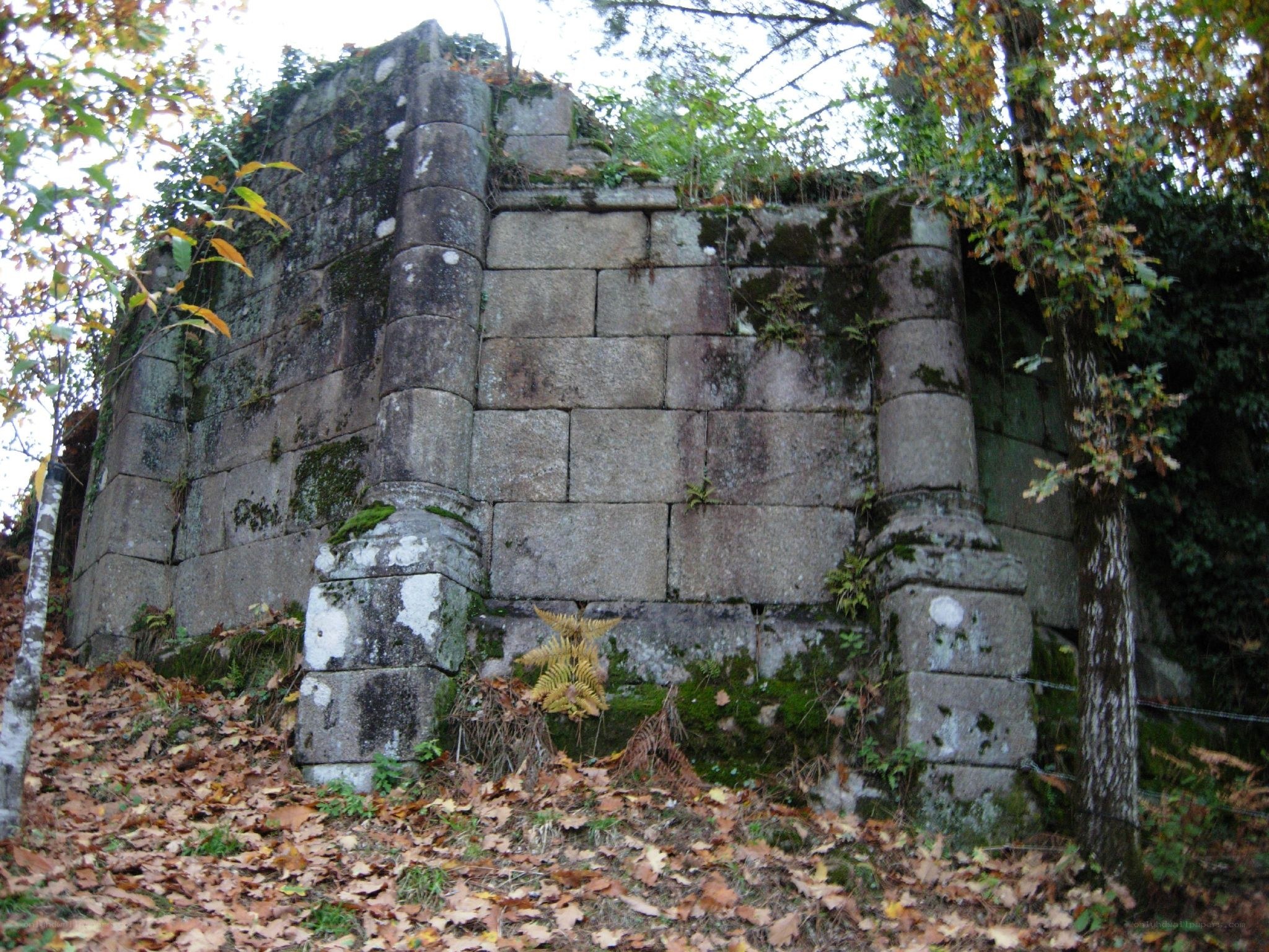 ancient stone ruin in forest